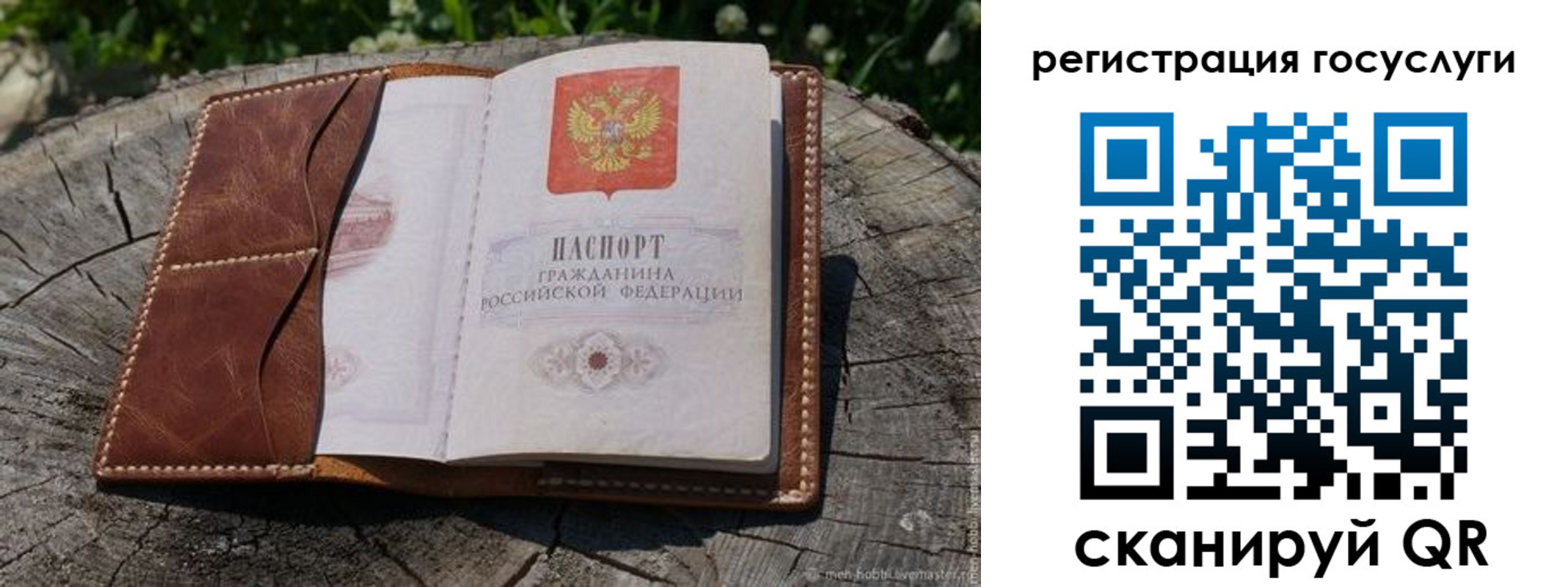 временная регистрация надежно в Саратовской области